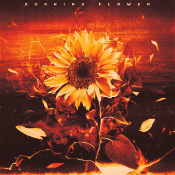 HANA、新曲「Burning Flower」MVで火柱に囲まれての圧巻パフォーマンスなど披露