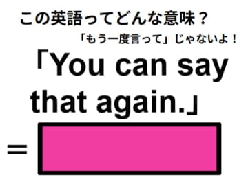 この英語ってどんな意味？「You can say that again. 」