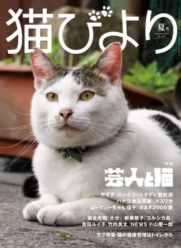 雑誌「猫びより」2025年夏号の特集は「芸人と猫」。やす子ら芸人たちの愛猫が登場！ | チバテレ＋プラス