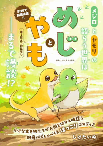 SNSで「いいね」13万超　メジロとヤモリがしゃべくる漫画『12cmの雑談』連載開始