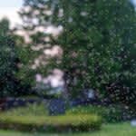 世界初　蚊の聴覚情報処理を可視化　メスの羽音を検知する卓越した能力解明に期待