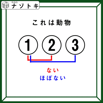 クイズです！「これは動物！何でしょう？」ない、ほぼない！どういうこと？【難易度LV４.・辛口】