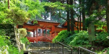 天台宗“14年性暴力”問題めぐる処分に「甘い」の声　“嫌疑不十分”の加害者を「再告訴」できる？