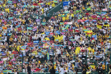 甲子園に降臨した“ガチ勢美女”に悶絶「可愛すぎるって…」　勝利の女神に歓喜