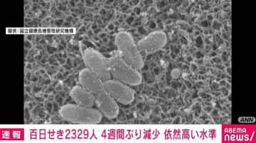 「百日せき」の全国患者数は2329人 4週ぶりに減少 依然高い水準