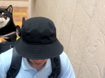 飼い主とお出かけする柴犬　表情に「これは反則！」「直視できない…」
