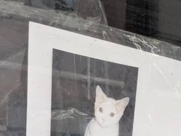 さびれた個人商店に『貼り紙』　近寄ってよく見てみると…