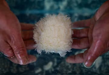 無形文化遺産の豆腐作りに見る千年の技　中国安徽省寿県