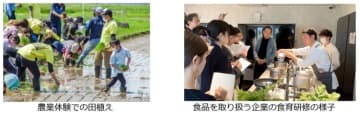 【本日公表】令和6年度 食育白書