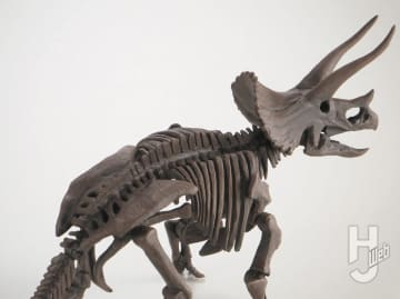 プラノサウルス「トリケラトプス」を化石標本を参考に工作＆塗装し徹底改修！ トリケラトプスの骨格本来の魅力を再現する!!【プラノサウルス復元プロジェクト】