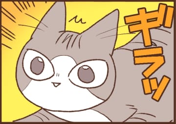 【吉川さん家の猫事情】#97話 毎回ドヤ顔
