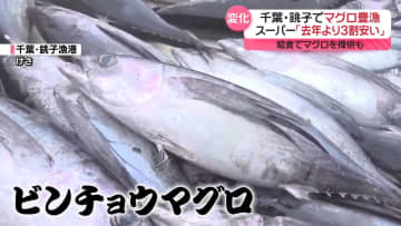 各地で“大漁”キハダマグロは「去年より3割安い」クロマグロは水揚げ73倍も…喜べないワケとは