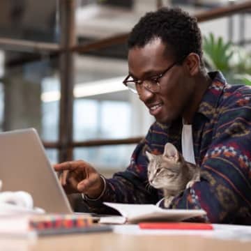 勤務内容は「猫のお世話」　英国の企業が風変わりな求人広告を出し話題に