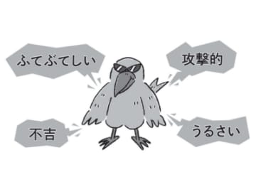 こわがってるのは、実は人間だけ？ カラスとのすれ違い事情【眠れなくなるほど面白い 図解 カラスの話】