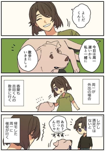 連載漫画【暮瀬姉弟と吉田くん】第三百五十三「吉田くんと散歩の満足度」