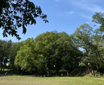 この時期にしか見ることのできない自然を観察★【ロクハツアー 初夏から梅雨へ】参加者募集中！【6月15日/草津市】