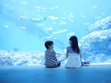 雨だって最高の思い出日和！　梅雨＆夏休みにおすすめ屋内スポット5選
