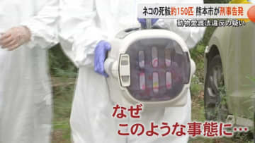 【続報】「死んでいるネコがいるようだ」と相談も熊本市は『虐待ない』と判断　動物愛護法違反の疑いで女性を刑事告発