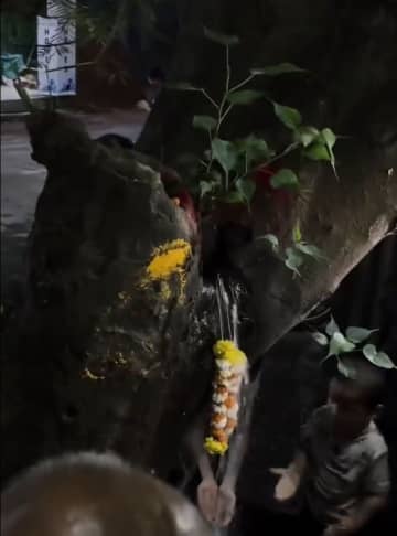 インドで木から湧き出る〝聖水〟求め巡礼者続出　実は木の下を通る水道管の破裂だった