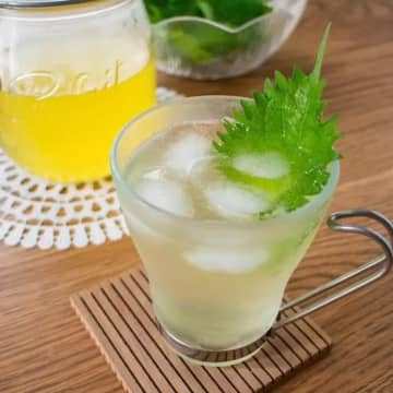 【大葉バズり中！】「これ飲めるの！？」「そのまま食べても最高！」夏にぴったり大葉レシピ3選