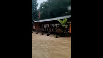 【直撃】中国各地で大荒れ天気…巨大竜巻に洪水・土砂崩れ・大雪も　隣国インドでも大洪水で60万人超に被害