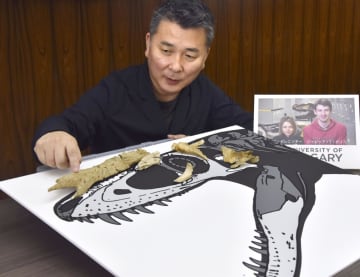 アジアと北米行き来し進化　ティラノ巨大化巡り北大