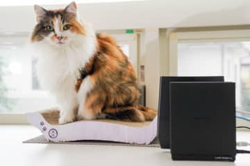 外出先からスマホで自宅NASにアクセス！　アイ・オー「LANDISK」シリーズ用「Remote Link 3」の設定【自宅Wi-Fi使いこなし】