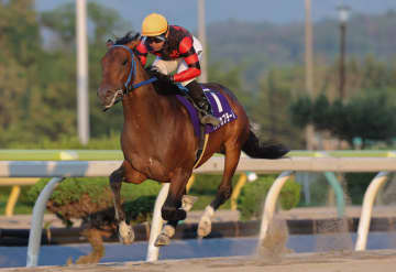 【水沢・東北優駿】リケアカプチーノ、7馬身差圧勝！吉原寛人×菅原勲でダービー制覇