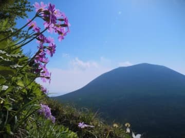 雄大「浅間山」 絶景で人気の「黒斑山」　この時季だけのおすすめ「花スポット」寄り道コースとは？