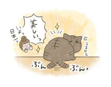 不思議な引力！魅惑の猫背がもたらす心の癒し【連載】交通事故にあった猫を拾いました#212