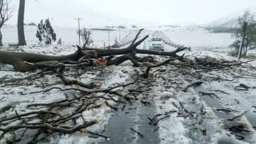 南アフリカで洪水、スクールバス流されて子どもら４９人死亡