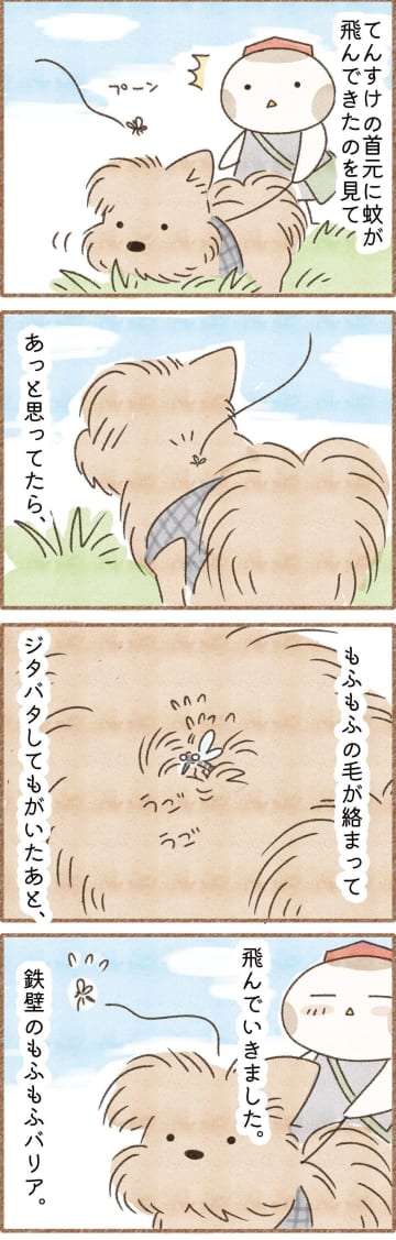 愛犬のふわふわが守る！モフ毛がもたらす防虫効果｜連載「こぐま犬てんすけ」vol.288