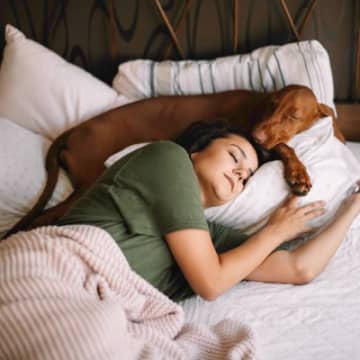 犬が飼い主と一緒に寝なくなる心理5選　嫌われてるから…？寝床を共にするための改善点まで