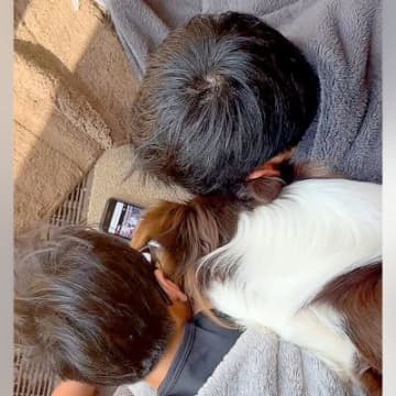 父と兄がスマホを見ていたら、犬が割り込んできて…まるで人間のような『尊い振る舞い』が18万再生「可愛すぎる集団」「何でも一緒がいいのね」