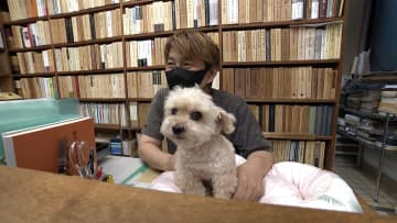 ミックス犬の営業部長「ししまる」が話題！外国人観光客が増える世界最大の古書店街、東京・神保町　早めの閉店を逆手に「ナイトウォーク」初開催も