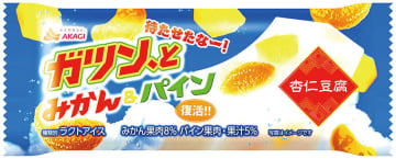 江頭2：50さんの発言きっかけ…発売後は予想を超える売れ行き、大きな話題に　赤城乳業、「ガツン、とみかん＆パイン杏仁豆腐」全国発売　販売終了後から再販希望の声　ウェブCMにも江頭さん起用