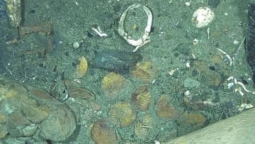 「至高の」難破船に積まれた財宝、新たな画像で明らかに　コロンビア沖