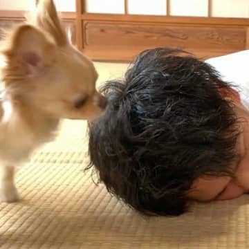 『死んだフリをしてみたら』想像以上に犬が心配してくれて…感動的な光景と『予想外の起こし方』に「愛感じる」「ウルっとしたけど笑った」の声