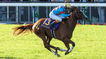【宝塚記念】勝利の女神は「3月生まれのGⅠ馬」に微笑む　勝ち馬に共通する“4つの絶対条件”を完全クリアしたのは？