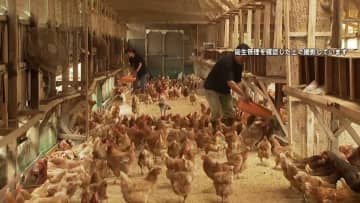 【独自】 備蓄米放出で養鶏場「飼料を米ぬかに変えた」　2年前の“エッグショック”に迫る価格…Mサイズ1キロ340円　家庭用精米機が去年比10倍の爆売れ