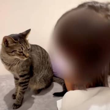 小さい女の子が“なかよしの愛猫”の元気がないことに気がついて…あまりにも『優しすぎる行動』に「見てるだけで幸せ」「ほんといいコンビ」