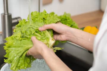 買った野菜に虫が…食べても大丈夫？安心して食べるための手順まとめ