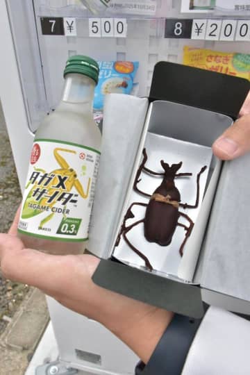 昆虫食品　より身近に　城里に自販機設置　常北ファーム　茨城