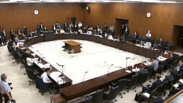 年金制度改革法案　参院院厚労委で賛成多数で可決、13日成立へ