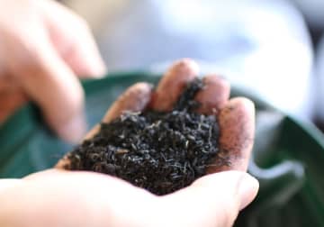 奇跡の炭が食料自給率“実質ゼロ”の日本を救う…コスト減＆脱炭素、収量もUP