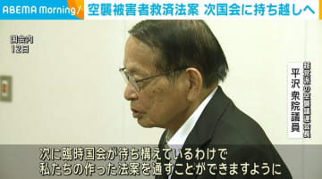 空襲被害者救済法案、次国会に持ち越しへ
