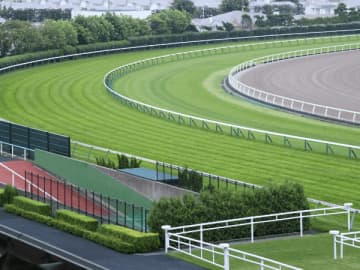 【函館スプリントＳ】着順不問で買い目に加えたいコース巧者とは！？ 前走コースの攻略ポイント！