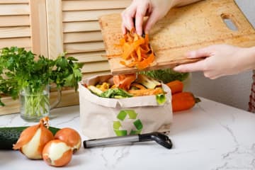 この時期は生ごみの臭いとコバエが気になる…「生ごみ処理機」の購入を検討していますが、レンタルした方がお得ですか？