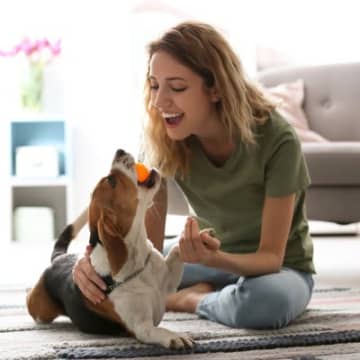 愛犬を『賢く育てる』ための方法４つ　頭を良くするコツやトレーニング法をご紹介