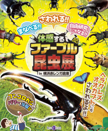 夏休みの自由研究にもぴったり！この夏は「体感するファーブル昆虫展2025 in 横浜赤レンガ倉庫」